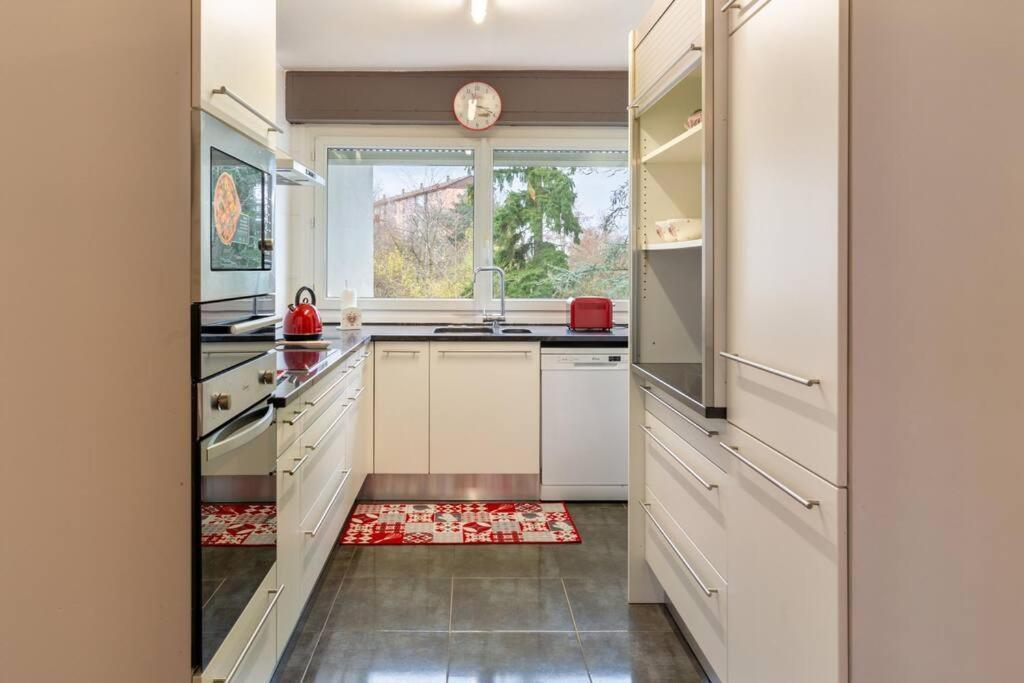 Superbe appartement spacieux avec parking gratuit Illzach Extérieur photo