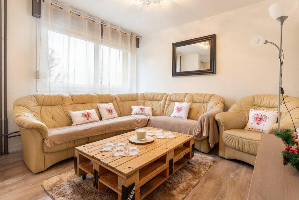 Superbe appartement spacieux avec parking gratuit Illzach Extérieur photo