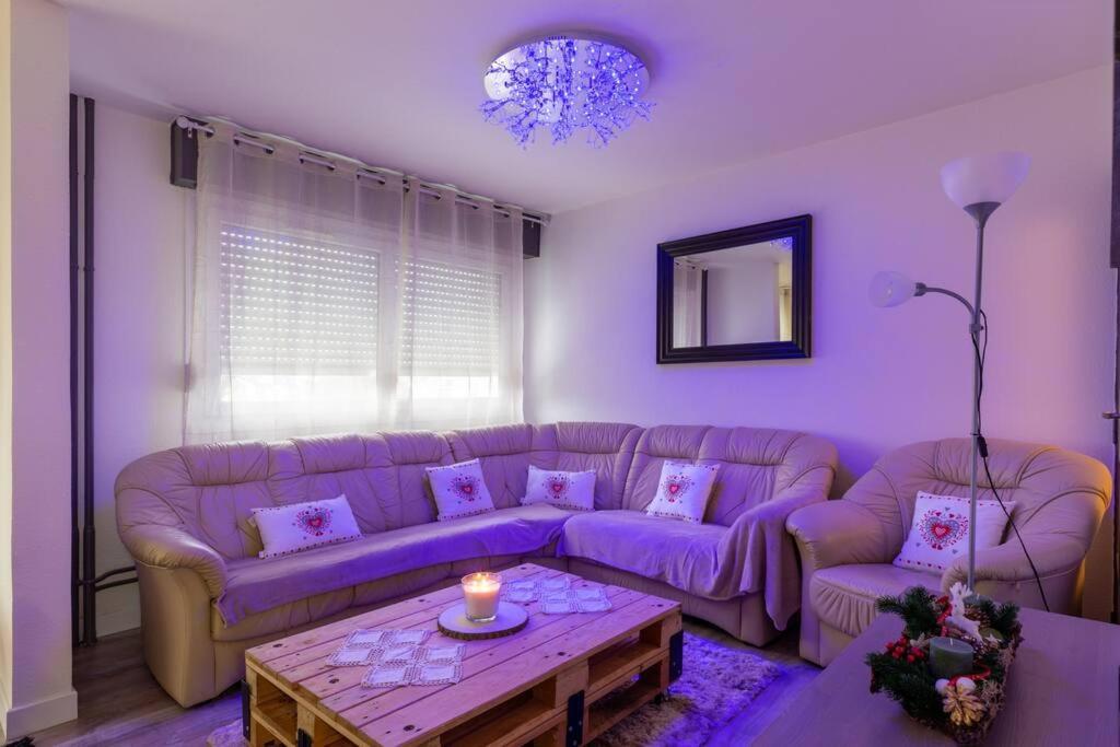Superbe appartement spacieux avec parking gratuit Illzach Extérieur photo